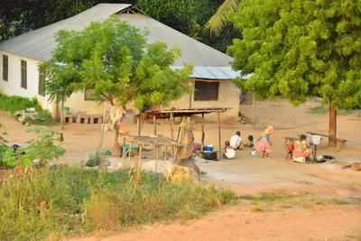 DSC_4294 (Large).JPG